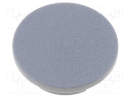 Cap; plastic; grey; push-in; Application: G4310.6131