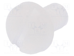 Screw; M3x5; 0.5; Head: cheese head; slotted; 0,9mm; polyamide