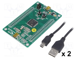 Dev.kit: ARM CORTEX-M3; USB B mini; GPIO,SWD,USB