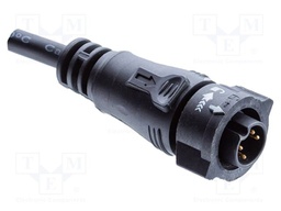 BD-05AFMM-QL8D01
