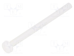 Screw; M3x40; 0.5; Head: cheese head; Pozidriv; 0,8mm; polyamide