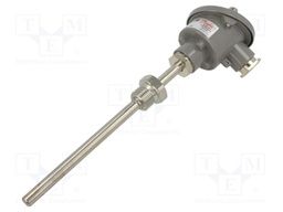 Sensor: temperature; Pt100; cl.B; G 1/2 A; Electr.connect: PG16