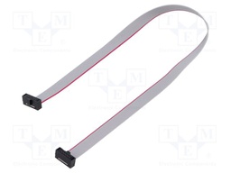 Ribbon cable with IDC connectors; Tape ph: 0.64mm; 254.25mm