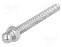 Pin; M8; Plunger mat: steel; Ø: 10mm; Plating: zinc; Thread len: 60mm