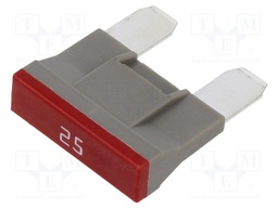 Fuse: fuse; 25A; 58VDC; automotive; 30mm