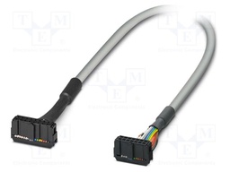 Ribbon cable with IDC connectors; Contacts ph: 2.54mm; 0.5m