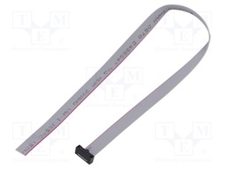 Ribbon cable with IDC connectors; Tape ph: 0.64mm; 304.8mm