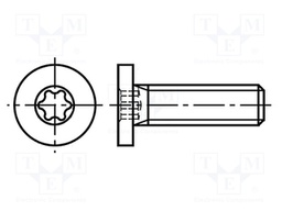 Screw; M8x20; Head: cheese head; Torx®; A2 stainless steel; TX25