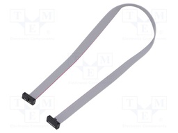 Ribbon cable with IDC connectors; Tape ph: 0.64mm; 304.8mm