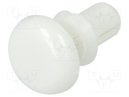 Rivet; polyamide; 2÷3mm; white; Mounting: dismountable,push-in