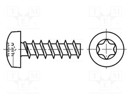 Screw; 2,5x16; Head: cheese head; Torx®; hardened steel; Size: TX08