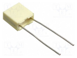 Capacitor: polyester