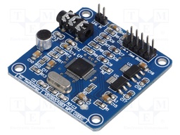 Module: audio; audio files playing module,sound recorder; SPI