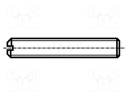 Screw; M2x3; 0.4; Head: without head; slotted; 0,25mm; DIN 551