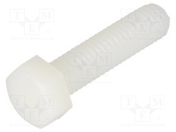 Screw; M5x20; 0.8; Head: hexagonal; polyamide; DIN 933
