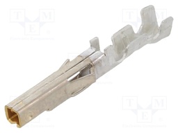 MiniFit Term Crp Fem Lse Bz 30Au 22-28