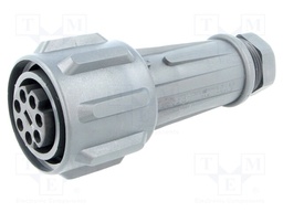 Connector: circular; plug; female; PIN: 7; EXPlora; Contacts: brass