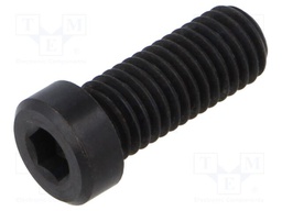 Screw; M10x25; 1.5; Head: cheese head; hex key; HEX 6mm; steel