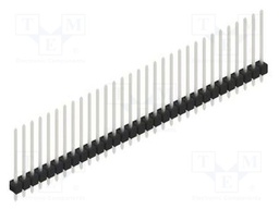Connector: pin strips; pin header; male; PIN: 31; 2.54mm; THT; 1x31