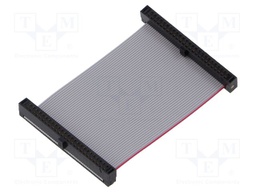 Ribbon cable with IDC connectors; Tape ph: 0.64mm; 50.8mm