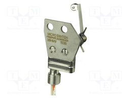 Microswitch SNAP ACTION