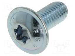 Screw; with flange; M5x12; Head: button; Torx®; steel; zinc