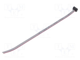 Ribbon cable with IDC connectors; Tape ph: 0.64mm; 152.4mm