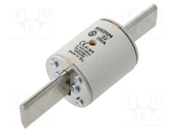 Fuse: fuse; gG; 250A; 500VAC; industrial; NHg