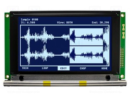 Display: LCD; 240x128; FSTN Negative; black; 170x103mm; CCFL; 2x10