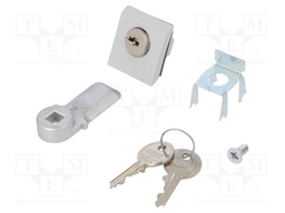 Lock; fibre glass reinforced polyamide; AE,for enclosures