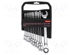 Wrenches set; combination spanner,with ratchet; 12pcs.