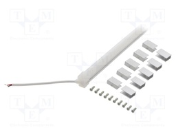 NEON LED tape; white cold; 24V; LED/m: 120; 10mm; IP65; 9.6W/m