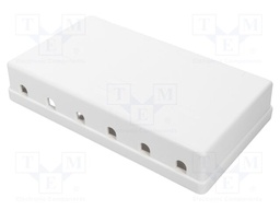 Case; Keystone; white; Number of ports: 6; Enclos.mat: ABS