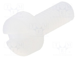 Screw; M3x8; 0.5; Head: cheese head; slotted; 0,9mm; polyamide