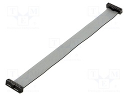 Ribbon cable with IDC connectors; IDC,both sides; Tape ph: 1mm