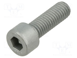Screw; M8x25; 1.25; Head: cheese head; hex key; HEX 6mm; steel; zinc