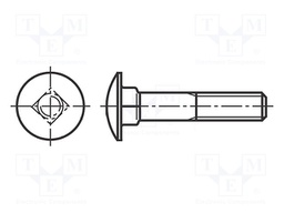 Screw; M8x45; 1.25; Head: button; A2 stainless steel; DIN: 603; 22mm