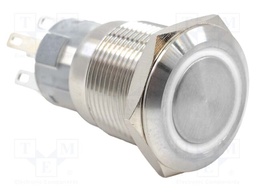 Switch: vandal resistant; DPDT; 2A/24VDC; IP67; ON-ON; white; 12V
