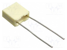 Capacitor: polyester