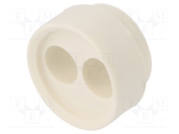 Insert for gland; with thread NPT; Size: NPT1 1/2"; Holes no: 2
