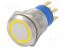 Switch: vandal resistant; Pos: 2; DPST; IP67; OFF-(ON); Illumin: LED
