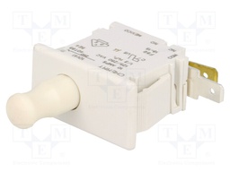 Switch: door; Pos: 2; SPDT; 10A/250VAC; white; on panel; UL94V-0