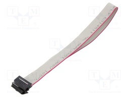 Ribbon cable with IDC connectors; 12x28AWG; Cable ph: 1mm; 0.3m