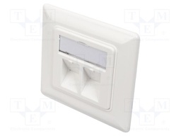 Wall socket; Keystone,angled; white; Number of ports: 2; ABS
