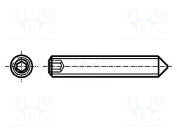 Screw; M5x12; DIN: 914; Head: without head; imbus; steel; zinc