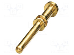 Contact; male; CuZn; gold-plated; crimped