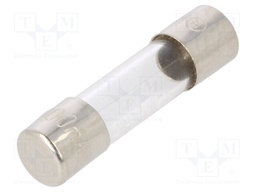 Fuse: fuse; 100mA; 250VAC; glass; 20x5.2mm; bulk