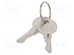 Key; Key code: 1333