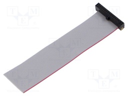 Ribbon cable with IDC connectors; Tape ph: 0.64mm; 76.2mm