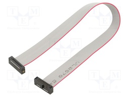 Ribbon cable with IDC connectors; Tape ph: 0.64mm; 177.8mm